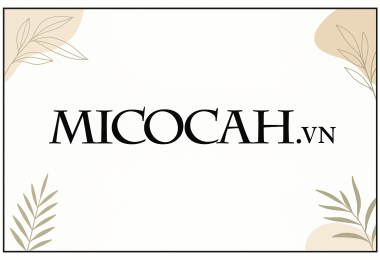 ✨ MICocah VN &ndash; Phong c&aacute;ch thời thượng, ưu đ&atilde;i đỉnh cao, độc quyền chỉ c&oacute; tại Shopee! ✨
