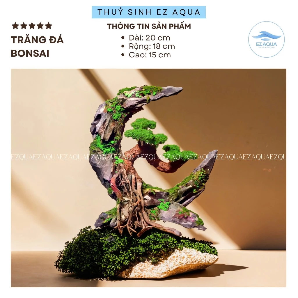 Layuot thủy sinh mặt trăng bon sai